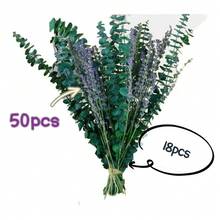 68 Eucalyptus Branches And Lavender Bouquets, Suitable For Shower Rooms, 17-Inch Upgraded Hanging Shower Flower Rack, Natural Real Eucalyptus Leaves And Lavender Branches, Aromatic Bathroom Decorations. - 綠色紫色 - 查看 4