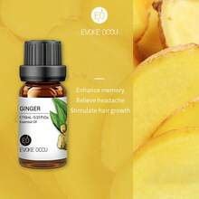 EVOKE OCCU 纯精油，10毫升/0.33液盎司，薰衣草、茉莉、玫瑰、香草、薄荷、橙花、青柠精油，适用于香薰机、加湿器、按摩、护肤护发、蜡烛和肥皂制作、DIY香水 - 多種香味 - 查看 13