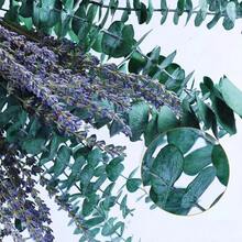 68 Eucalyptus Branches And Lavender Bouquets, Suitable For Shower Rooms, 17-Inch Upgraded Hanging Shower Flower Rack, Natural Real Eucalyptus Leaves And Lavender Branches, Aromatic Bathroom Decorations. - 綠色紫色 - 查看 3