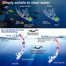 Conjunto de Esnórquel para Adultos, Gafas de Buceo Panorámicas Antiniebla,áscara de Natación de Vidrio Templado para Esnórquel Profesional para Adultos con dos Juegos de Tapones los Oídos a Prueba - 1 - Ver 3