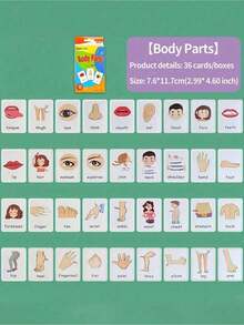 Bộ 36 thẻ học tiếng Anh giáo dục sớm, bao gồm màu sắc, thời gian, hình dạng, động vật, trái cây, rau củ, bộ phận khuôn mặt, thực phẩm, thẻ học nhiều màu sắc, công cụ giáo dục trực quan cho trường học, học sinh, văn phòng phẩm, đồ dùng học tập, trở lại trường, quà tặng Giáng sinh, công cụ giáo dục gia đình - Nhiều màu - Xem 4
