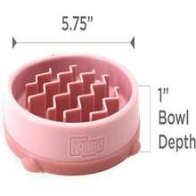 Outward Hound Medium Slow Feeder Bowl, Puzzle Maze For Fast Eaters, Small To Medium Dogs, Helps Prevent Bloat &Amp; Aid Digestion, Holds 2 Cups Wet Or Dry Food, Non-Slip, Made Without BPA, Turquoise - ColorE - 查看 7