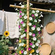 Decorazione per acquario