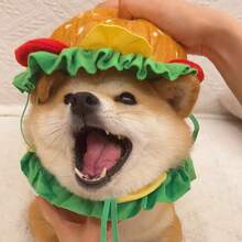 Pisică Burger bandă de susținere guler animal de companie Halloween costum decorativ bandă de susținere pentru pisică pălării cosplay rochie