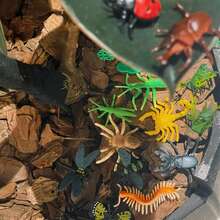 16pcs Insect Model Set, Includes 12 Insect Plush Toys - Dragonfly, Scorpion, Mantis, Ladybug, Centipede And Tree Models, Suitable For Science Learning Educational Toys, Ideal For Holiday And Party Gifts