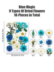 20/40片装 DIY 干花压花标本，手工压制花，幼儿园早教教具，随机混合玫瑰贴纸书签，适合制作四季花瓣标本，书签贴纸，男女童手工趣味可爱礼物，生日礼物，复活节礼物，万圣节礼物