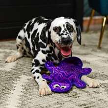 Outward Hound Durablez Large Gecko Stuffing-Free Squeaky Plush Dog Toy For Puppies &Amp; Dogs - Interactive, Soft Yet Tough, No Mess, Jumbo Squeaker, Long-Lasting Play, 175 Inch, Multicolor - ColorH - 查看 5