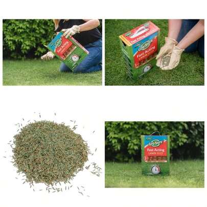 20500187 Fast Acting Grass Lawn Seed, 30 M2, 900 G, Blue, Green