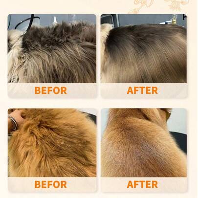 YEGBONG 宠物毛发护理油 - 深层滋养，令毛发柔顺健康，减少脱毛和缠结，并带来持久清香。多种香味可选，是馈赠亲朋好友的完美节日礼物（新款和旧款随机发货）