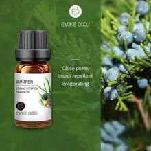 EVOKE OCCU 纯精油，10毫升/0.33液盎司，薰衣草、茉莉、玫瑰、香草、薄荷、橙花、青柠精油，适用于香薰机、加湿器、按摩、护肤护发、蜡烛和肥皂制作、DIY香水 - 多種香味 - 查看 26