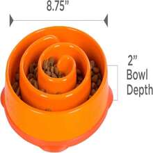 Outward Hound Medium Slow Feeder Bowl, Puzzle Maze For Fast Eaters, Small To Medium Dogs, Helps Prevent Bloat &Amp; Aid Digestion, Holds 2 Cups Wet Or Dry Food, Non-Slip, Made Without BPA, Turquoise - ColorD - 查看 7