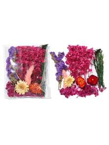 20/40片装 DIY 干花压花标本，手工压制花，幼儿园早教教具，随机混合玫瑰贴纸书签，适合制作四季花瓣标本，书签贴纸，男女童手工趣味可爱礼物，生日礼物，复活节礼物，万圣节礼物