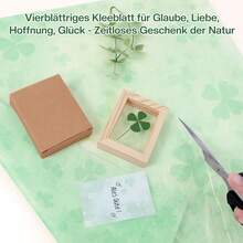  Kleine Glücksbringer - Holzrahmen  Echtem Vierblättrigem Kblatt - Hochwertige Handarbeit - Glücksbringer für Prüfung, Mutmacher, Gute Bserung & Dankchön