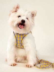 PETSIN 全封闭式狗绳，夏季背心式宠物背带，透气狗绳，适合中小型犬、柯基犬、贵宾犬，户外使用 - 黃色 - 查看 4