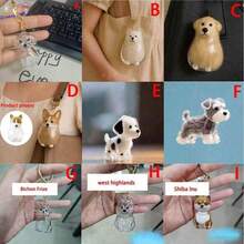1pc Souvenirs, New Pet Hair Souvenirs Keychain