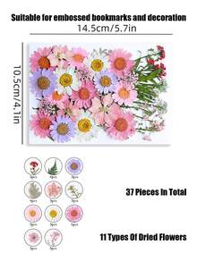 20/40片装 DIY 干花压花标本，手工压制花，幼儿园早教教具，随机混合玫瑰贴纸书签，适合制作四季花瓣标本，书签贴纸，男女童手工趣味可爱礼物，生日礼物，复活节礼物，万圣节礼物