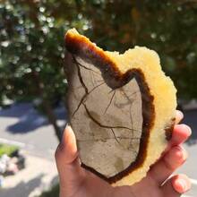 Natürliche Septariumstein-Scheiben, natürliche Steinornamente, rohe Steinscheiben, Gartendekoration, Festtagsgeschenke - Verschiedenfarbig - Übersicht 6