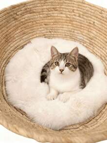 Esterilla de peluche para mascotas, adecuada para gatos, perros y otros animales pequeños. Es resistente al desprendimiento de pelo, tiene un fondo antideslizante y se puede lavar a máquina a bajas temperaturas para ayudar a mantener a las mascotas libres de enfermedades de la piel. La esterilla de peluche proporciona un ambiente cálido y cómodo, creando un acogedor nidito para tus mascotas.