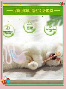 6pcs Cat Chew Stick - Cat Toys, Self-Entertaining Anti-Boredom Chewable, Cat Ball, Teaser Wand, Cat Chew Stick, Cat Teething Stick, Cat Chew Rope, Sticks For Cats, Cat Chew, Dental Chews For Cats, Cat Chew Toy, Kitten Teething Toys. - Multicolor - View 7