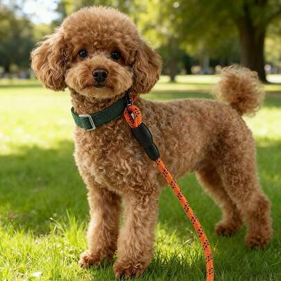 Adjustable Woven Dog Collar For Outdoor Activities, Suitable For Medium & Small Dogs