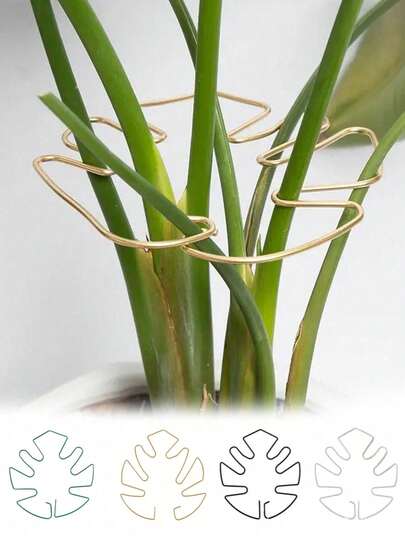 Monstera Deliciosa Plant Support - Unique Design Suitable For Climbing Plants, Monstera Deliciosa Clip Set, Ideal Plant Support For Healthy Growth