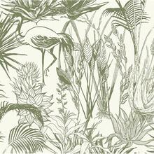 Timeet Peel And Stick Wallpaper Sage Green Leaf Wallpaper Peel And Stick Modern Forest Wallpaper Self-Adhesive Removable Contact Paper Jungle Wallpaper For Bedroom Bathroom 16"X118"{"Size_name":"16inX118in","Color_name":"Green"} - 綠色 - 查看 1