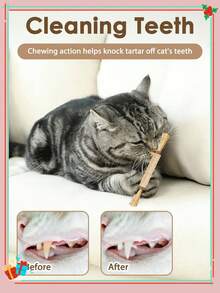 6pcs Cat Chew Stick - Cat Toys, Self-Entertaining Anti-Boredom Chewable, Cat Ball, Teaser Wand, Cat Chew Stick, Cat Teething Stick, Cat Chew Rope, Sticks For Cats, Cat Chew, Dental Chews For Cats, Cat Chew Toy, Kitten Teething Toys. - Multicolor - View 6