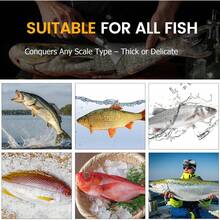 Fish Stainless Stee Fish Scale Remover Fish Descaler Fish Cleaner Fish Scraper - 1 - View 3
