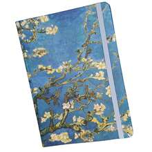 Amendoeira - Sem Pauta