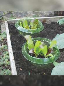 5/10 piezas. Nuevo modelo de protección contra caracoles reutilizable. Cerca y cubierta protectora para plantas y vegetales. Protege las plantas contra daños de caracoles, las mantiene saludables y aumenta significativamente la tasa de supervivencia. Simple y fácil de usar. - Multicolor - Ver 5