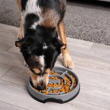 Slow Fun Feeder Bowl, Slow Feeder Dog Bowl, Gray, Large - 灰色+1+大號 - 查看 6