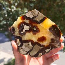 Natürliche Septariumstein-Scheiben, natürliche Steinornamente, rohe Steinscheiben, Gartendekoration, Festtagsgeschenke - Verschiedenfarbig - Übersicht 1