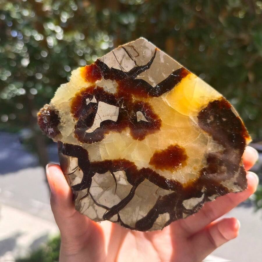 Natürliche Septariumstein-Scheiben, natürliche Steinornamente, rohe Steinscheiben, Gartendekoration, Festtagsgeschenke - Verschiedenfarbig - Übersicht 1