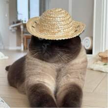 1 pieza Sombrero de paja para mascota protección solar - Camel - Ver 3