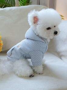 1 件宠物服装，适合小型犬的可爱狗/猫服装，温暖舒适的秋冬连帽衫 - 蓝色 - 藍色 - 查看 4