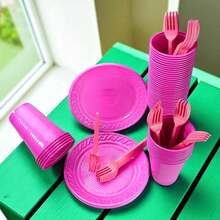Economic Disposable Kit For 50 People And 150 Party Items - Hot Pink - View 2