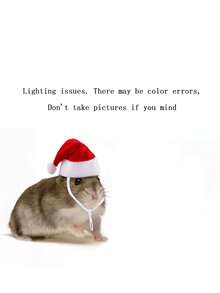 1pc/2pcs Cute Pet Hats, Hamster Hat, Lizard Hat, Snake Hat, Parrot Hat, Frog Hat, Mouse, Little Red Riding Hood, Funny Pet Headwear, Valentine''s Day Red Hat - Multicolor - View 15