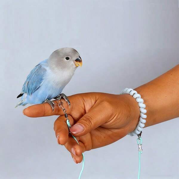 1pc Parrot Leash, Bird Training Leash For Small Parrots To Prevent Escape (Foot Ring Not Included)