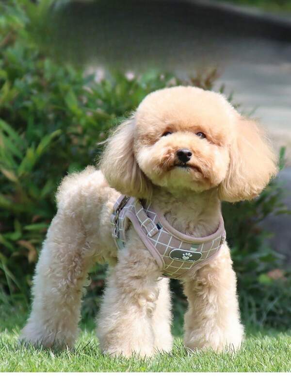 2 piezas Correa retráctil para mascotas, arnés de chaleco para mascotas pequeñas/medianas/grandes, correa para el pecho de gato