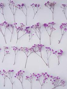 25/50/100/200/300pcs Mini Baby's Breath Flowers And Other Dried Flowers - For Resin Mold Art Craft, Ivory White Flowers Bouquet For Hair Accessory, Wedding Wreath, Table Vase, Home Decor - Purple - View 2