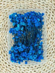 25/50/100/200/300 件多色迷你干满天星花束 - 波西米亚风格粉色、红色、紫色、黄色、白色、绿松石色 - 耐用的婚礼中心装饰、家居装饰、情人节、圣诞节、生日 - 免维护、持久鲜艳的桌面装饰、手工编织花束、季节性装饰、活动策划必备