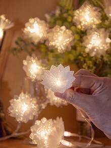 2m/3 Meter/6m/10m LED Lichtfaserkette, Hochzeit/Feiertag/Weihnachtsdekoration, warmweiß/farbig, USB oder Batteriebetrieben (Batterien nicht enthalten)