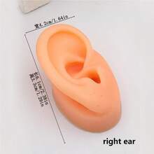 仿真硅胶穿刺练习模型，软硅胶柔性模型身体部位展示套装练习教学道具，3D仿真人体穿刺工具，耳、眼、鼻、口、舌、肚脐初学者穿刺。 - 杏色 - 查看 12