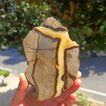 Natürliche Septariumstein-Scheiben, natürliche Steinornamente, rohe Steinscheiben, Gartendekoration, Festtagsgeschenke - Verschiedenfarbig - Übersicht 9