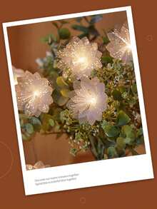 2m/3 Meter/6m/10m LED Lichtfaserkette, Hochzeit/Feiertag/Weihnachtsdekoration, warmweiß/farbig, USB oder Batteriebetrieben (Batterien nicht enthalten)