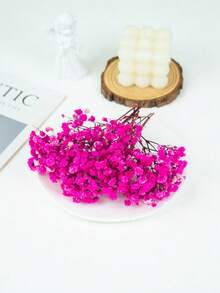 Rose Red Baby's Breath