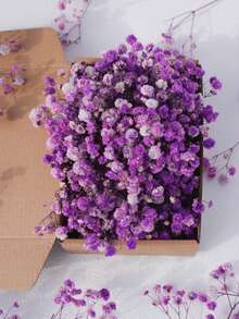 25/50/100/200/300pcs Mini Baby's Breath Flowers And Other Dried Flowers - For Resin Mold Art Craft, Ivory White Flowers Bouquet For Hair Accessory, Wedding Wreath, Table Vase, Home Decor - Purple - View 1