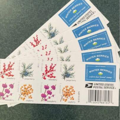 2019 Winter Berries. Postage. Forever. Stamps. 100 Pcs. Stickers