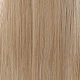 Blonde Ombre