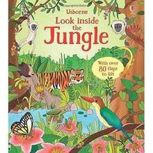 Usborne Look Inside Collection 6 Books Set - Space, Animal Homes, Our World, Seas And Oceans, Jungle, Nature - Sets - View 6